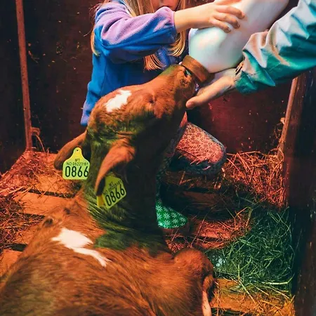 Casa de Férias Family-friendly With Agricultural Idyll Vestre Gausdal