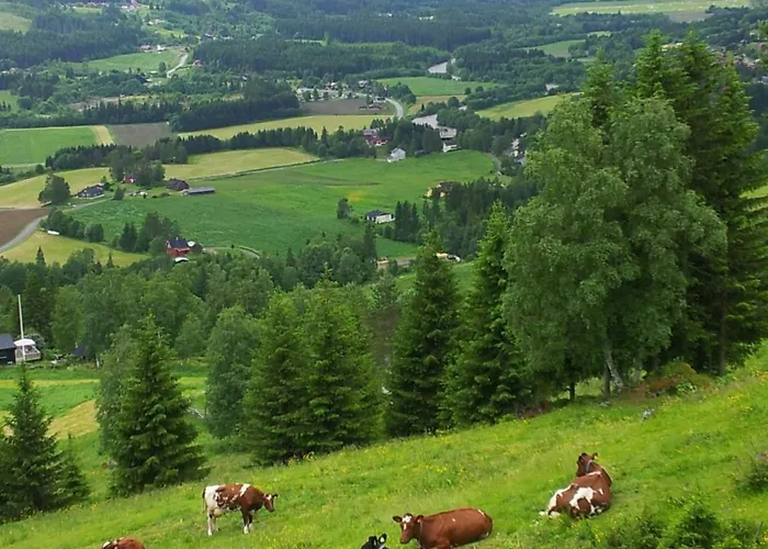 Family-friendly With Agricultural Idyll