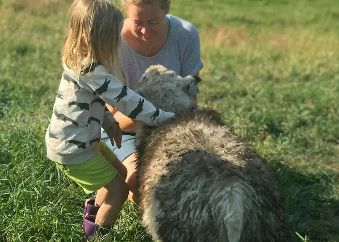 Semesterbostad Family-friendly With Agricultural Idyll *