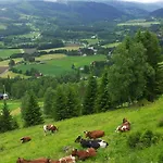 Family-friendly With Agricultural Idyll